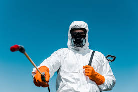 Best Residential Pest Control  in Royse City, TX